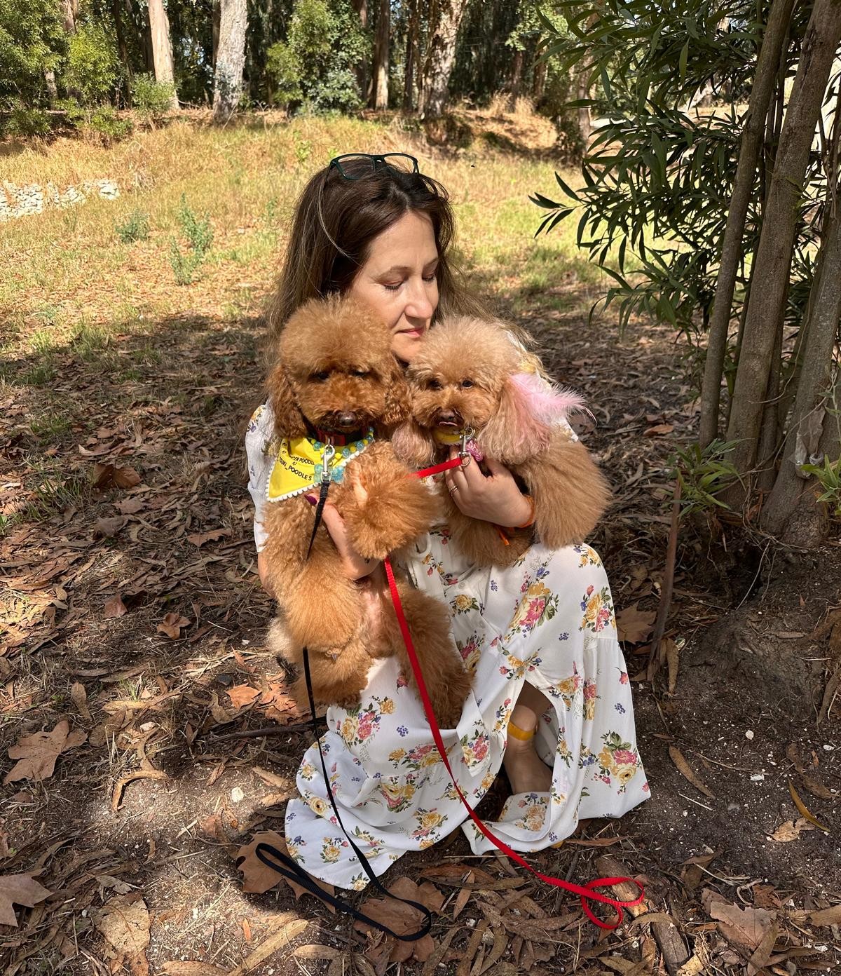 Equipa Star Dogs VIP